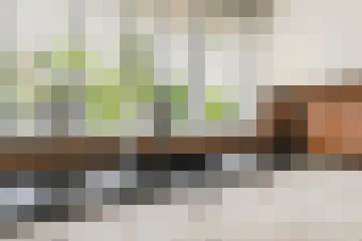 Meester Steenwegpad 14 Nootdorp thumbnail 23