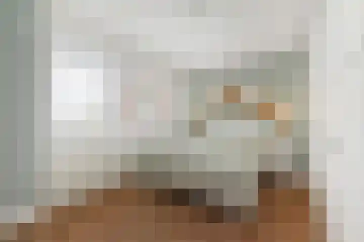 Meester Steenwegpad 14 Nootdorp thumbnail 27