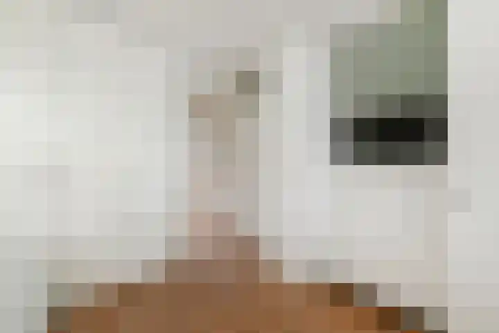Meester Steenwegpad 14 Nootdorp thumbnail 28