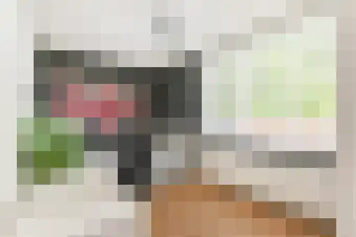 Meester Steenwegpad 14 Nootdorp thumbnail 34