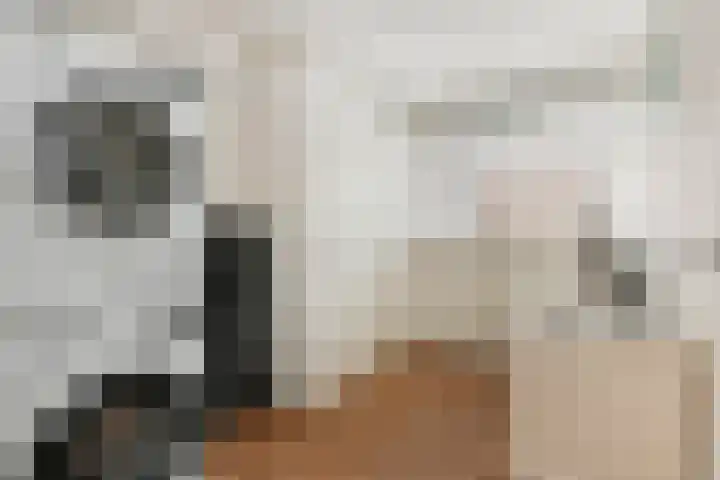 Meester Steenwegpad 14 Nootdorp thumbnail 36