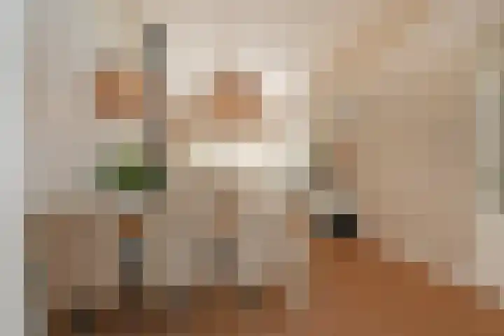 Meester Steenwegpad 14 Nootdorp thumbnail 8