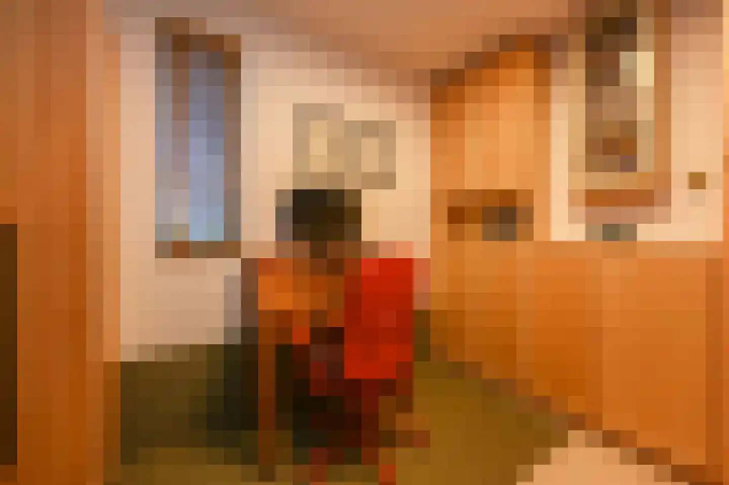 Meester Steenwegpad 2 Nootdorp thumbnail 10