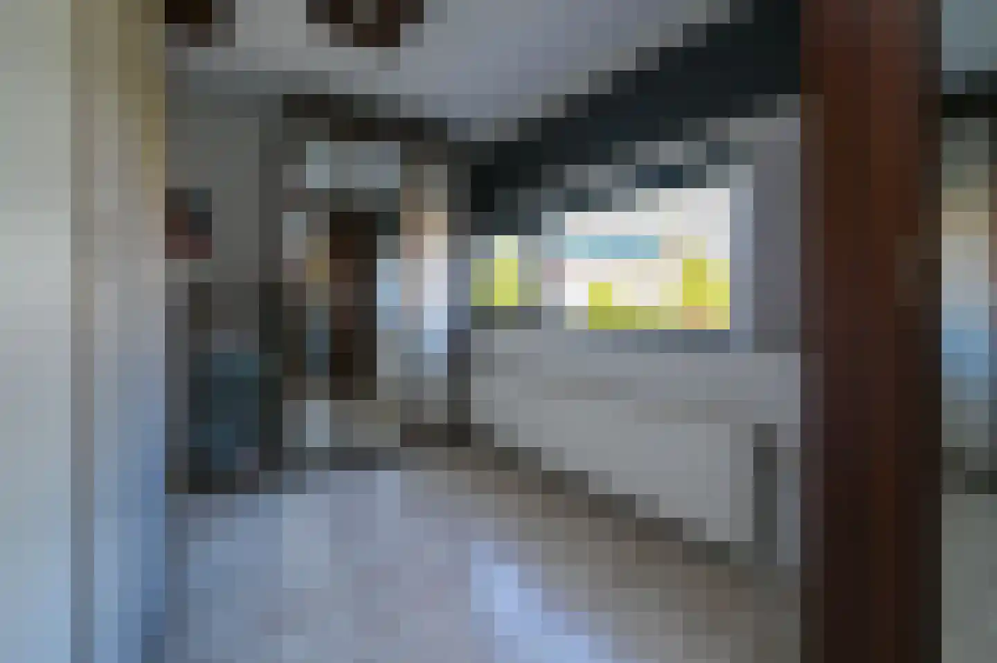 Meester Steenwegpad 2 Nootdorp thumbnail 24