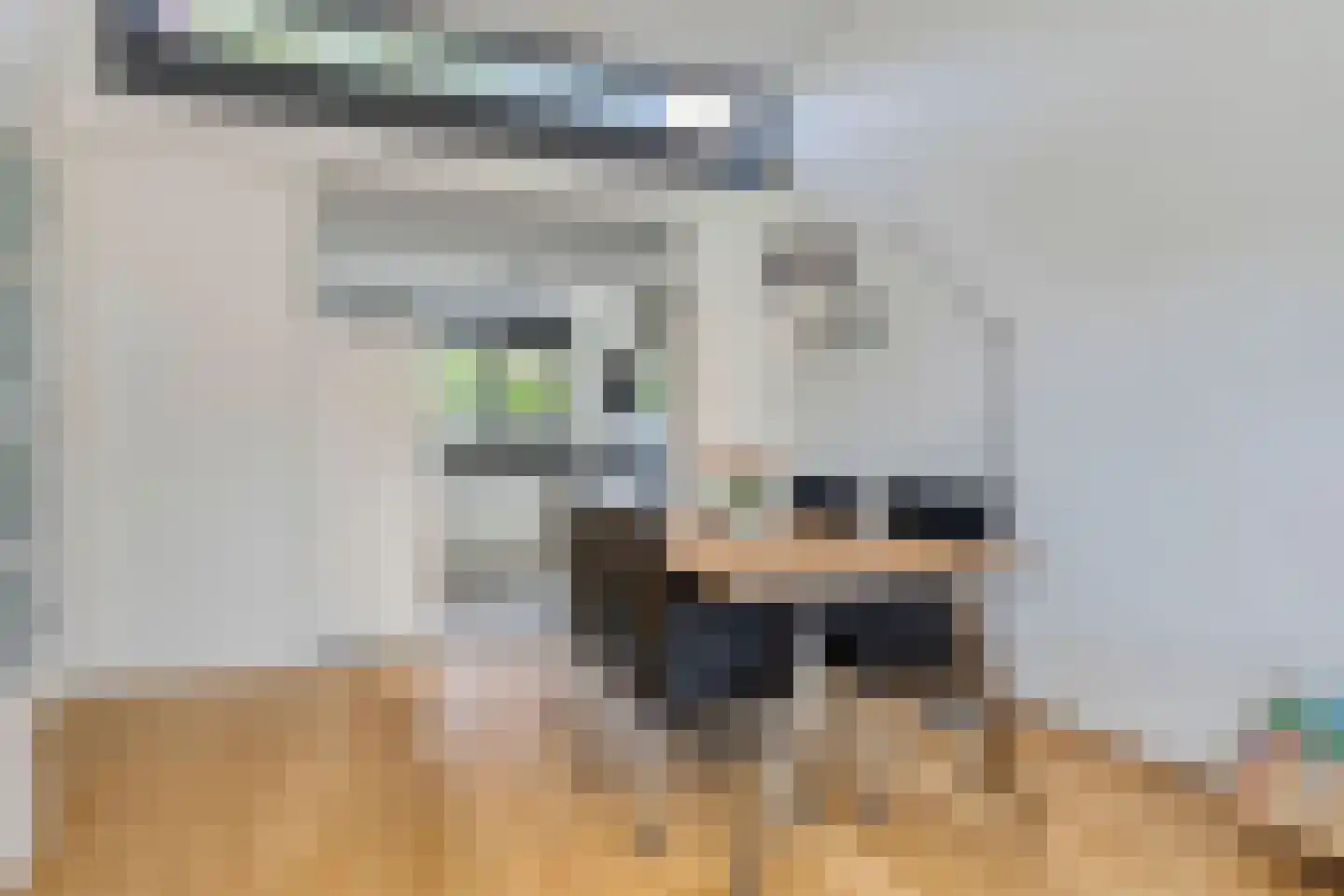 Meester Steenwegpad 20 Nootdorp thumbnail 12