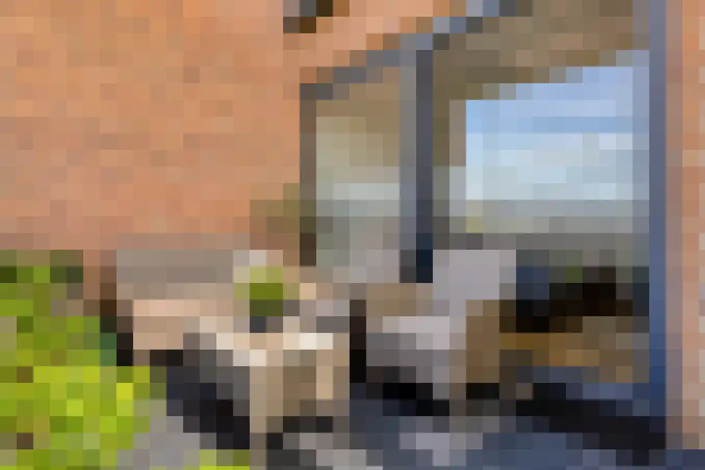 Meester Steenwegpad 20 Nootdorp thumbnail 26