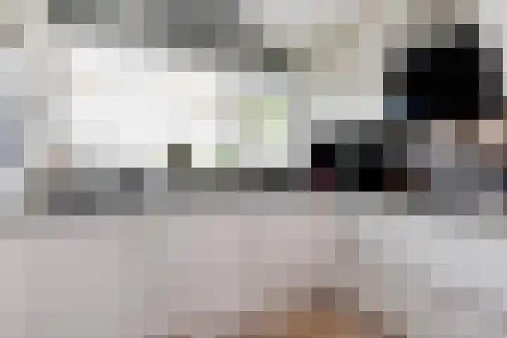 Meester Steenwegpad 22 Nootdorp thumbnail 13