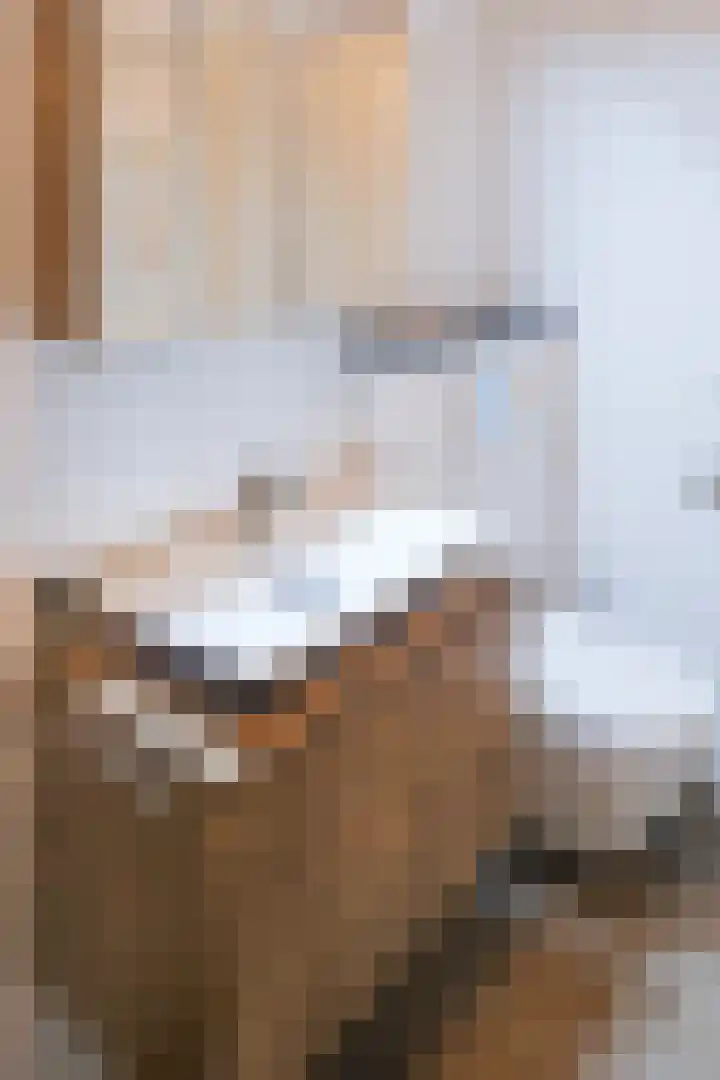 Meester Steenwegpad 22 Nootdorp thumbnail 19