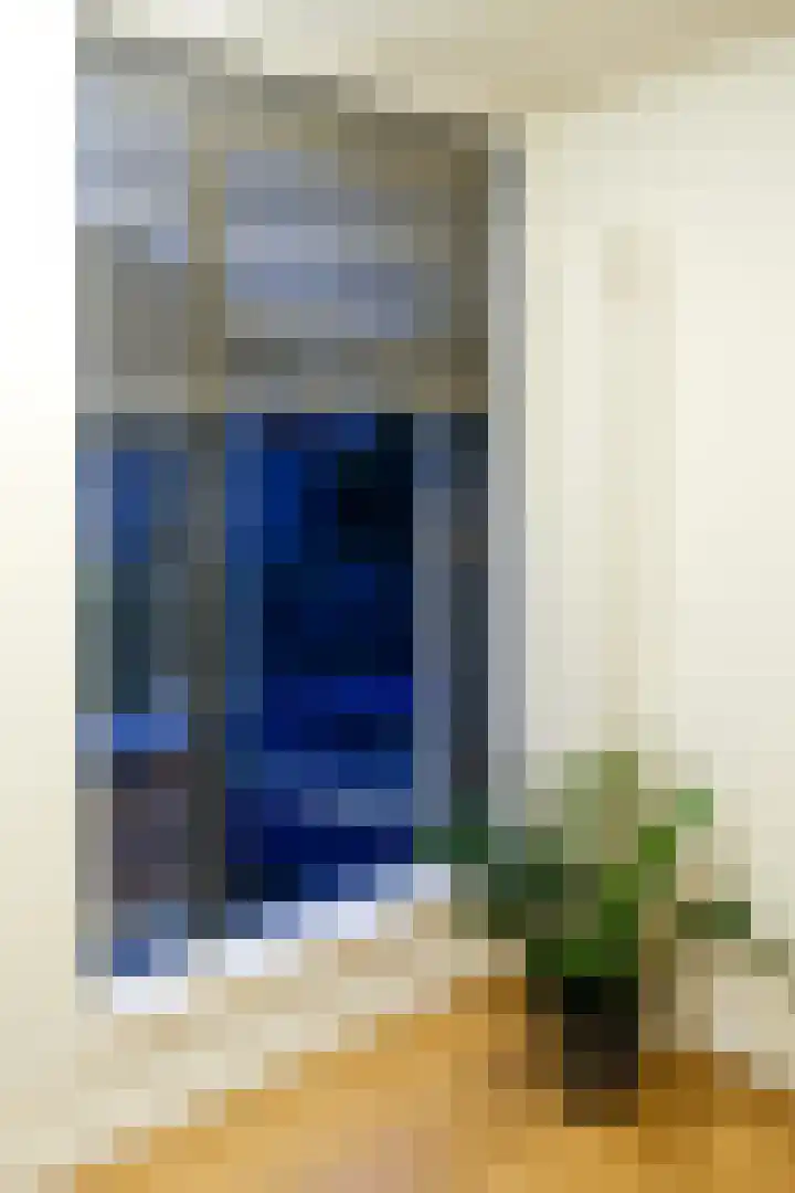 Meester Steenwegpad 22 Nootdorp thumbnail 23