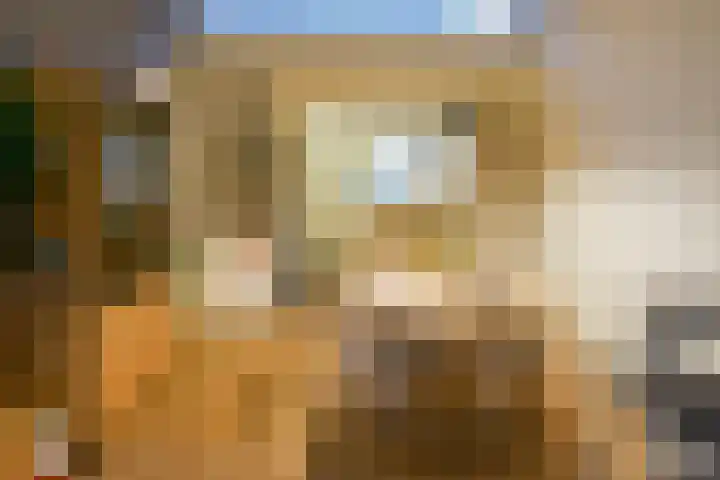 Meester Steenwegpad 22 Nootdorp thumbnail 5