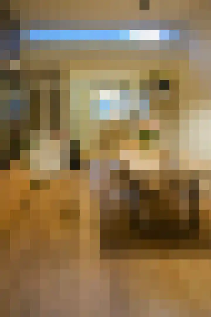 Meester Steenwegpad 22 Nootdorp thumbnail 7