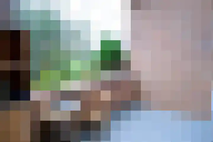 Meester Steenwegpad 22 Nootdorp thumbnail 9