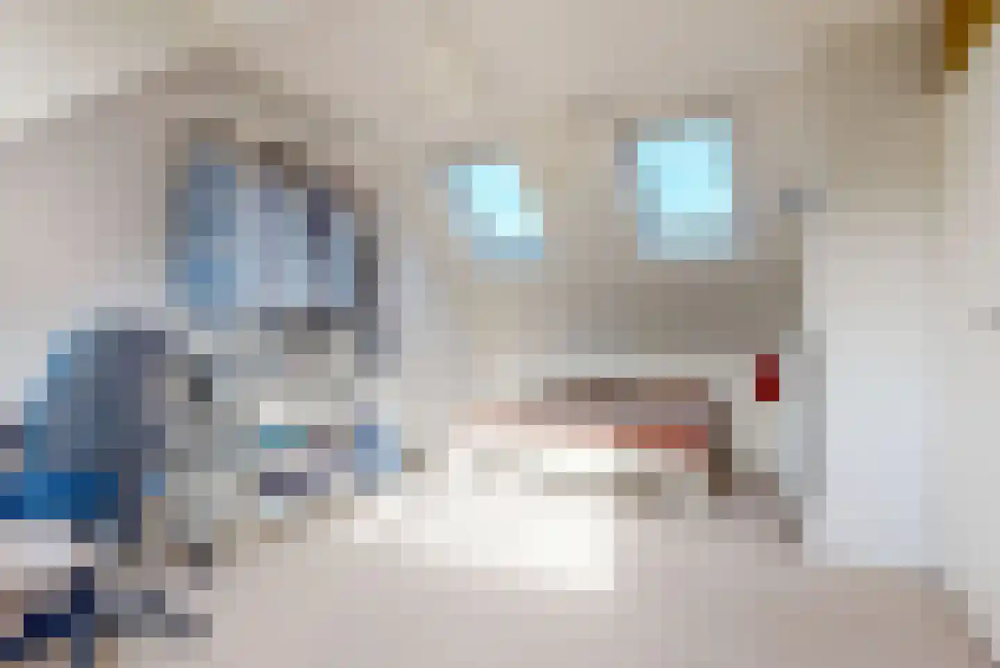Meester Teppemastraat 11 Renkum thumbnail 25