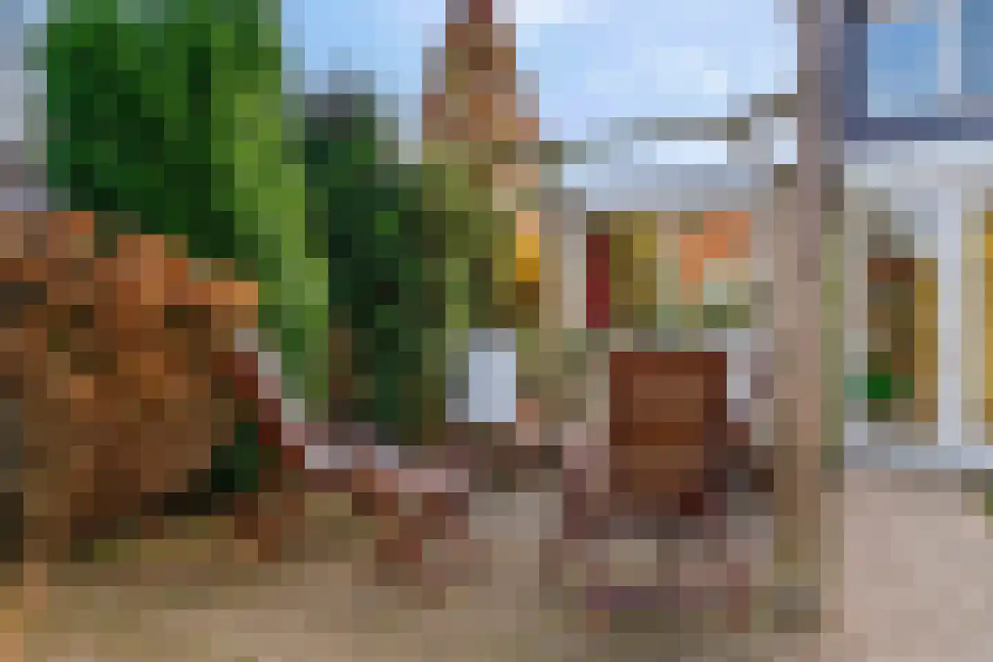 Meester Teppemastraat 11 Renkum thumbnail 29