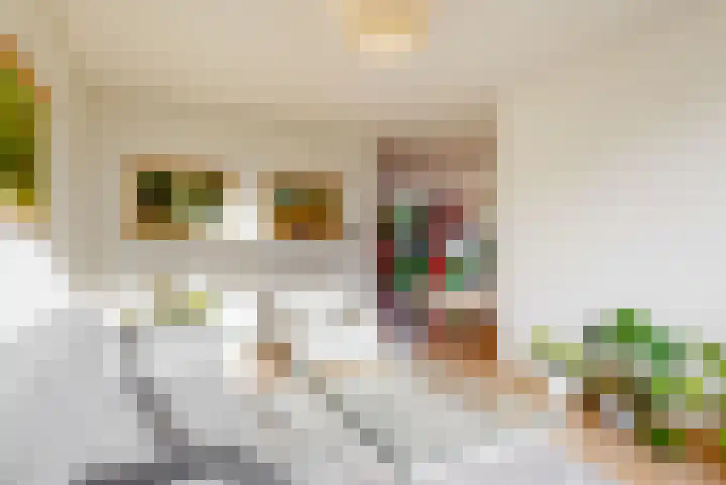 Meester Teppemastraat 11 Renkum thumbnail 4