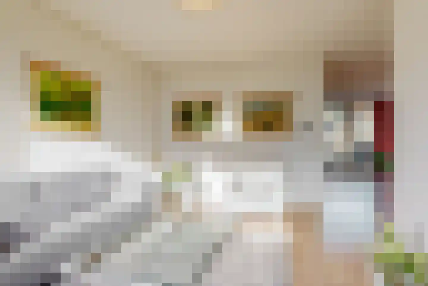 Meester Teppemastraat 11 Renkum thumbnail 5