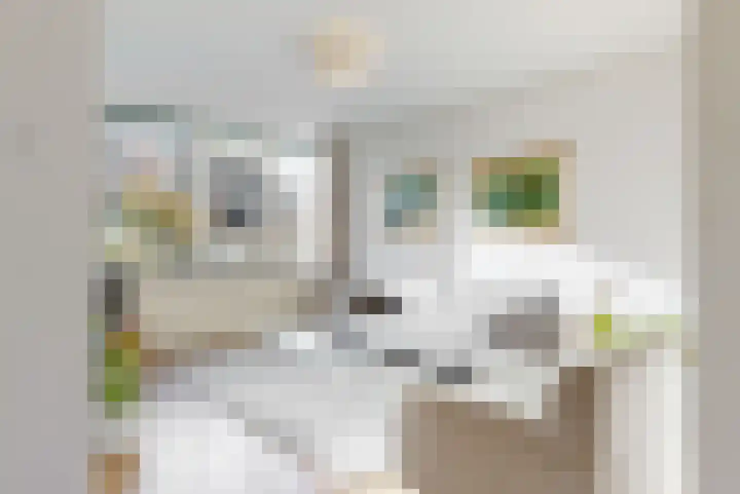 Meester Teppemastraat 11 Renkum thumbnail 6