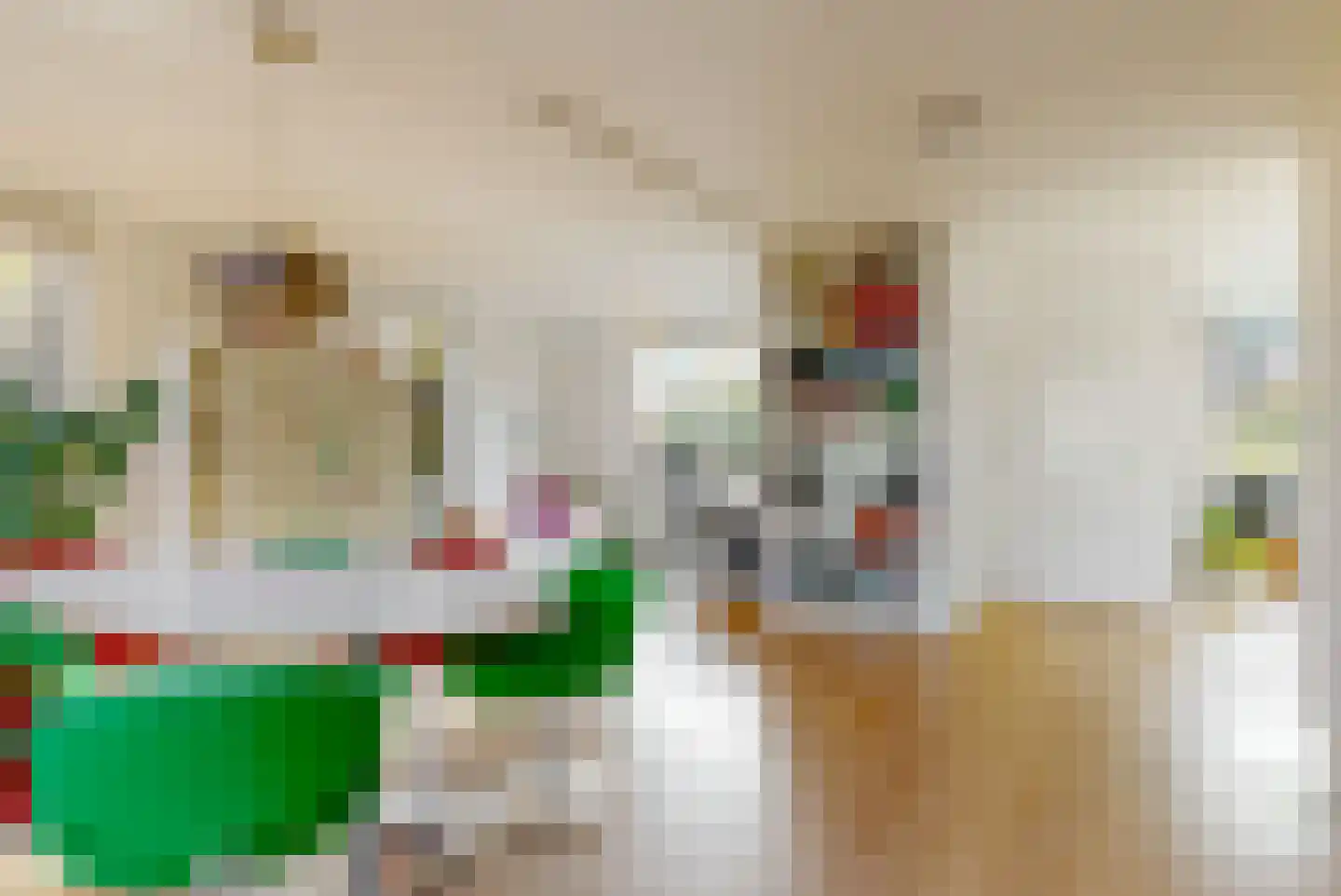 Meester Teppemastraat 11 Renkum thumbnail 7