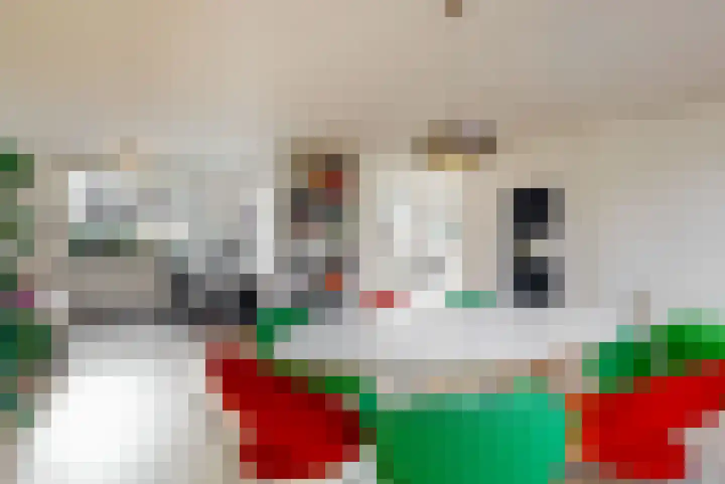 Meester Teppemastraat 11 Renkum thumbnail 8