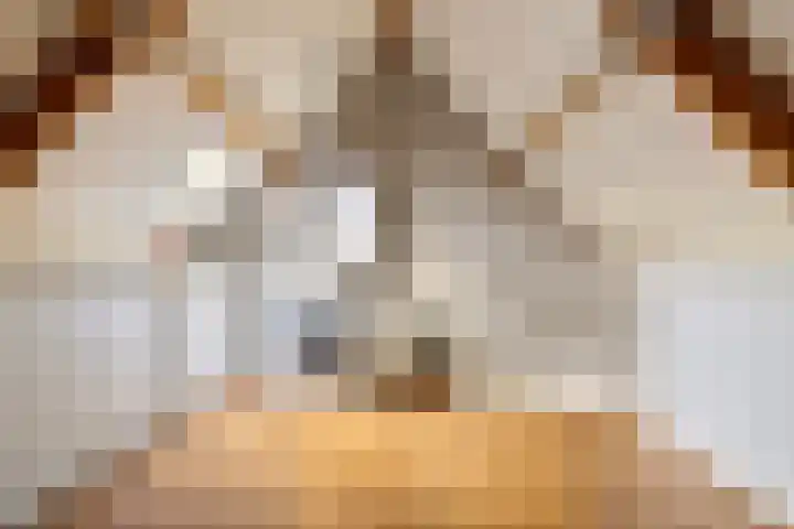 Meester Teunissenstraat 25 Macharen thumbnail 23