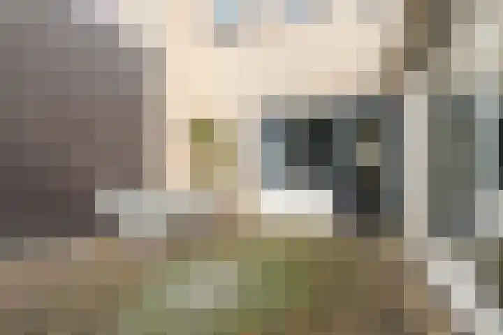 Meester Teunissenstraat 25 Macharen thumbnail 26