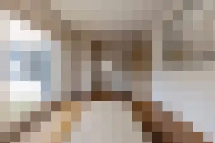 Meester Teunissenstraat 25 Macharen thumbnail 4