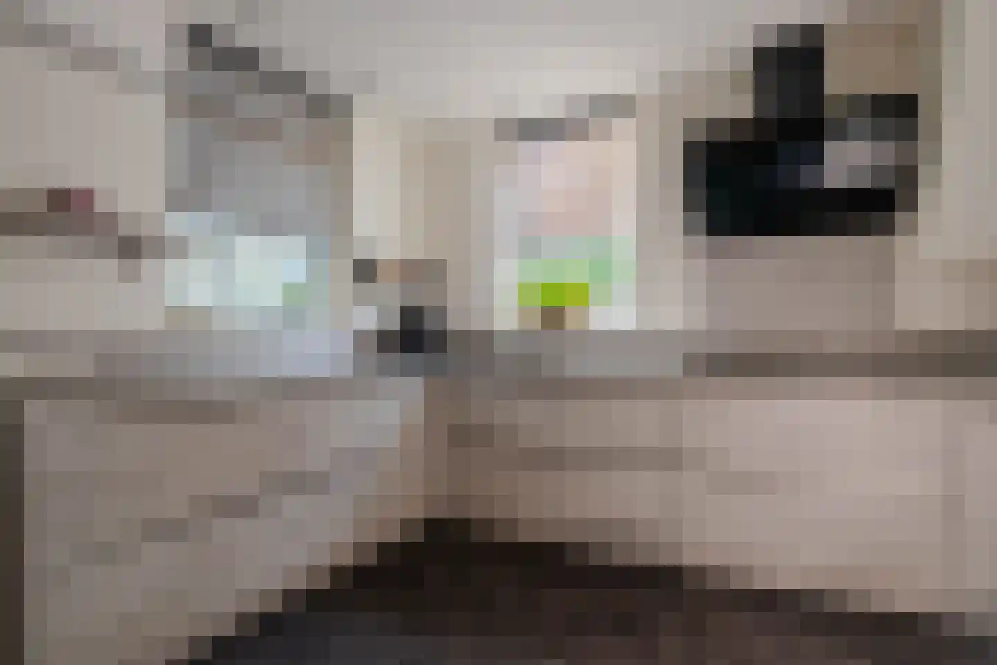 Meester Theelenstraat 10 Helenaveen thumbnail 12