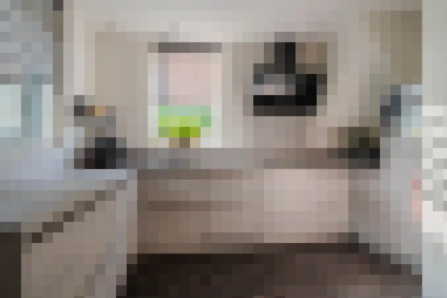 Meester Theelenstraat 10 Helenaveen thumbnail 13