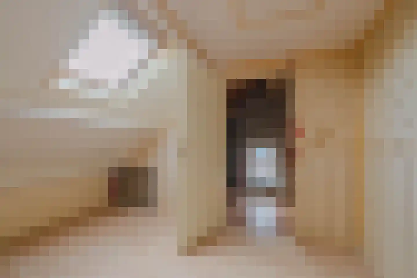 Meester Theelenstraat 10 Helenaveen thumbnail 23