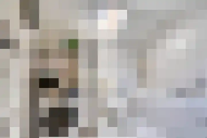 Meester Theelenstraat 21 Helenaveen thumbnail 24