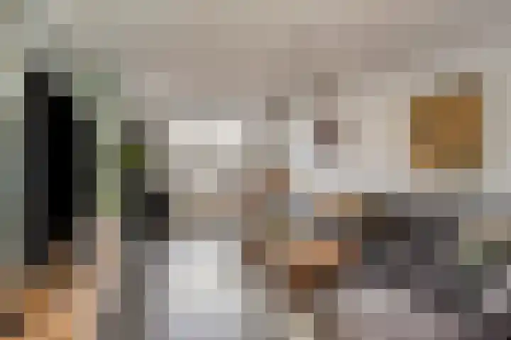 Meester Thijssenstraat 24 Egchel thumbnail 10