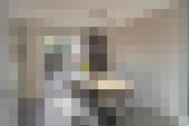 Meester Thijssenstraat 24 Egchel thumbnail 11