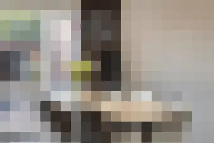 Meester Thijssenstraat 24 Egchel thumbnail 12