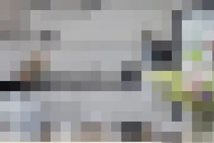 Meester Thijssenstraat 24 Egchel thumbnail 14