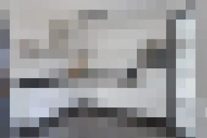 Meester Thijssenstraat 24 Egchel thumbnail 15