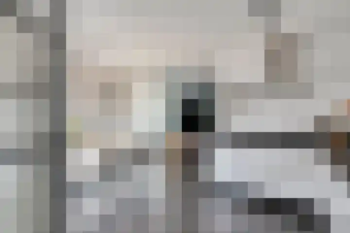 Meester Thijssenstraat 24 Egchel thumbnail 17