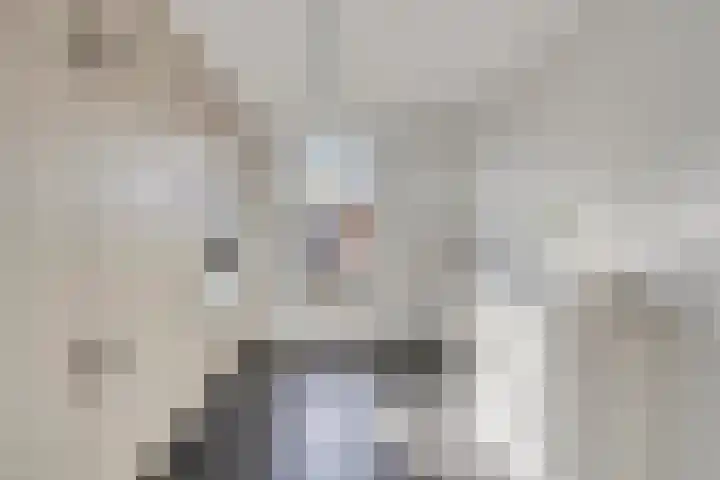 Meester Thijssenstraat 24 Egchel thumbnail 21