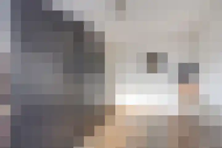 Meester Thijssenstraat 24 Egchel thumbnail 31