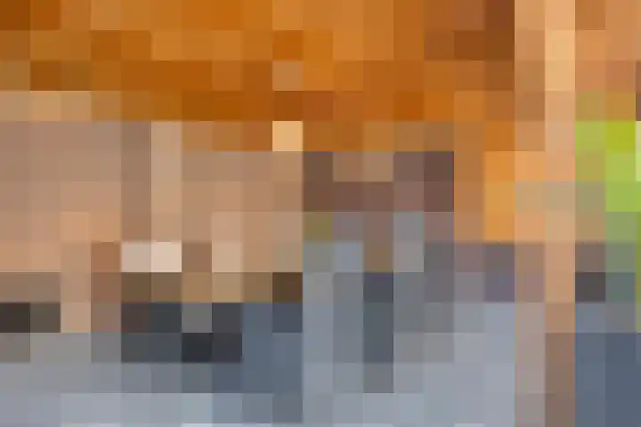 Meester Thijssenstraat 24 Egchel thumbnail 36