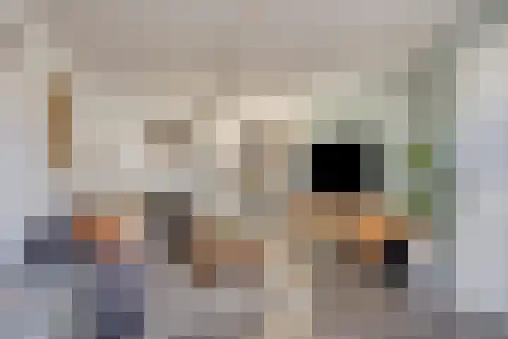 Meester Thijssenstraat 24 Egchel thumbnail 7
