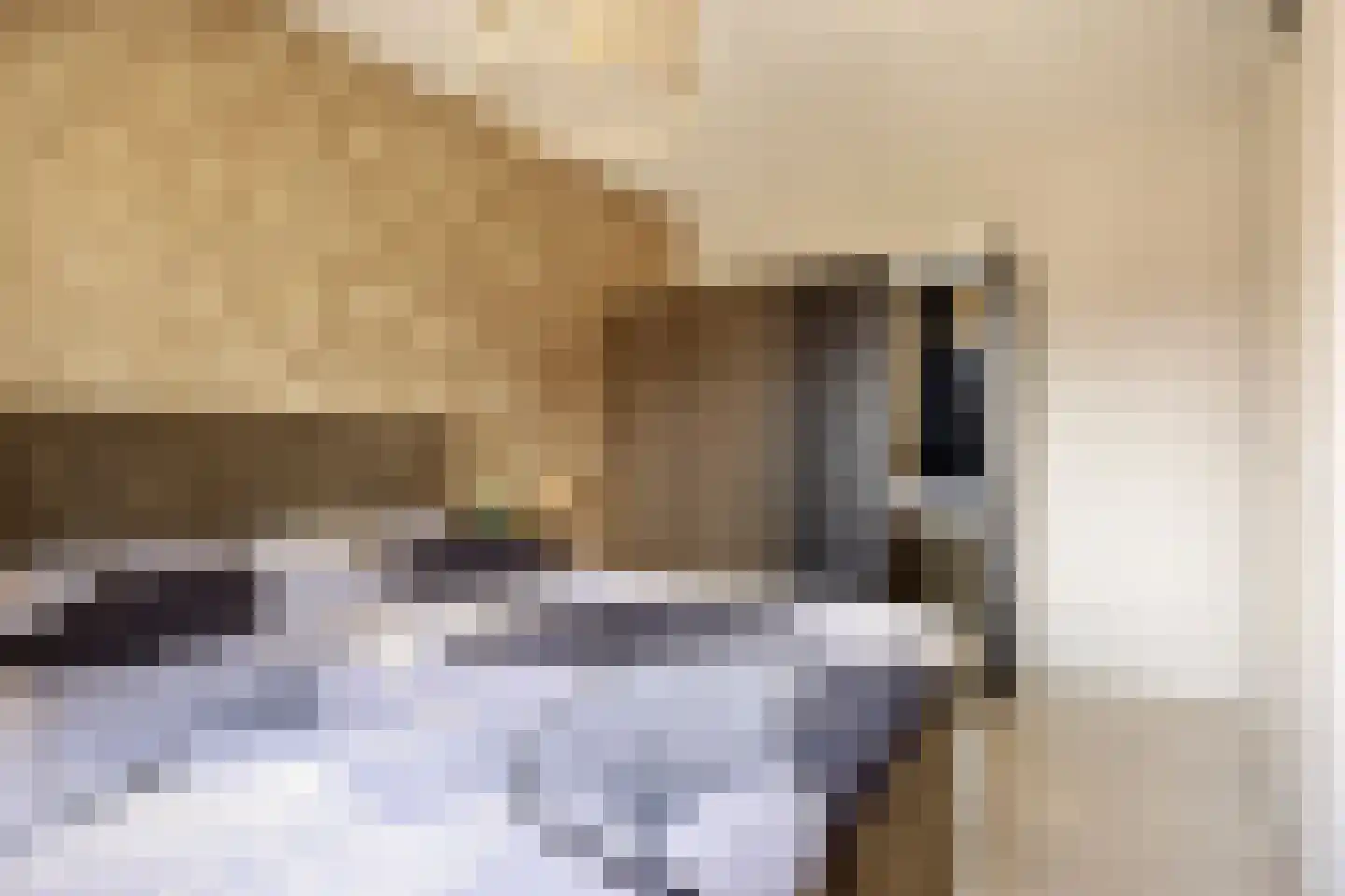 Meester Thijssenstraat 7 A Egchel thumbnail 23