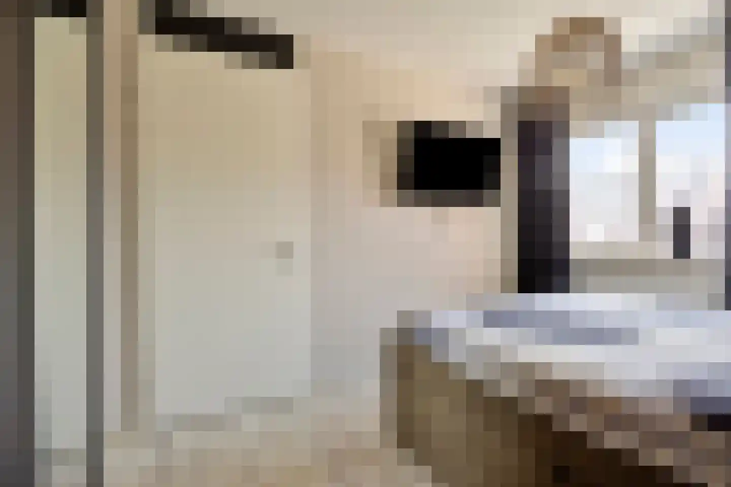 Meester Thijssenstraat 7 A Egchel thumbnail 24