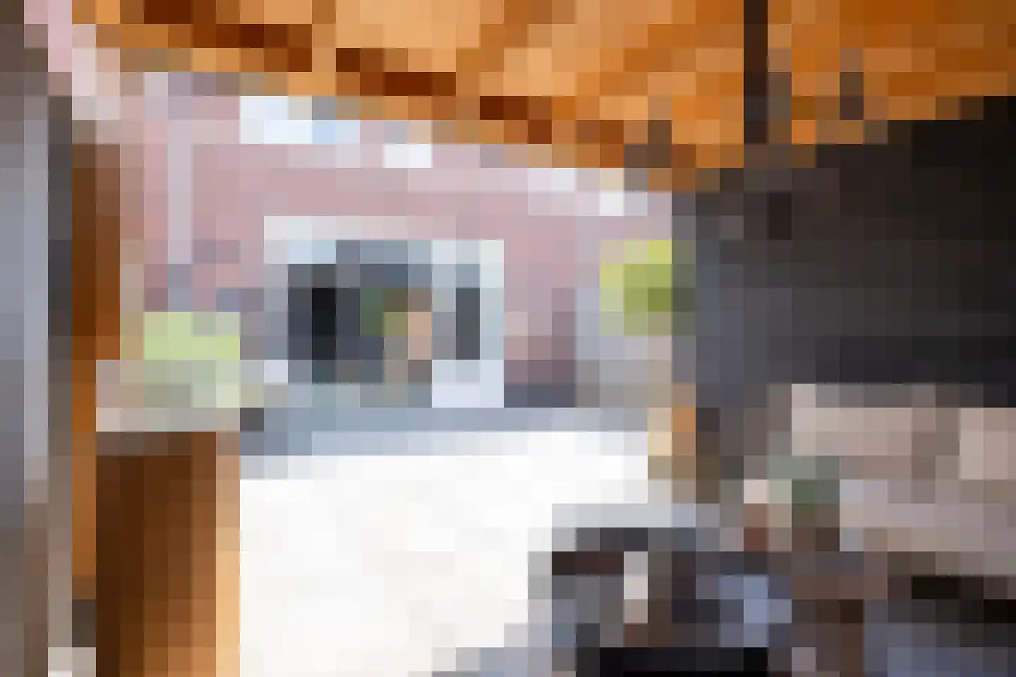Meester Thijssenstraat 7 A Egchel thumbnail 30