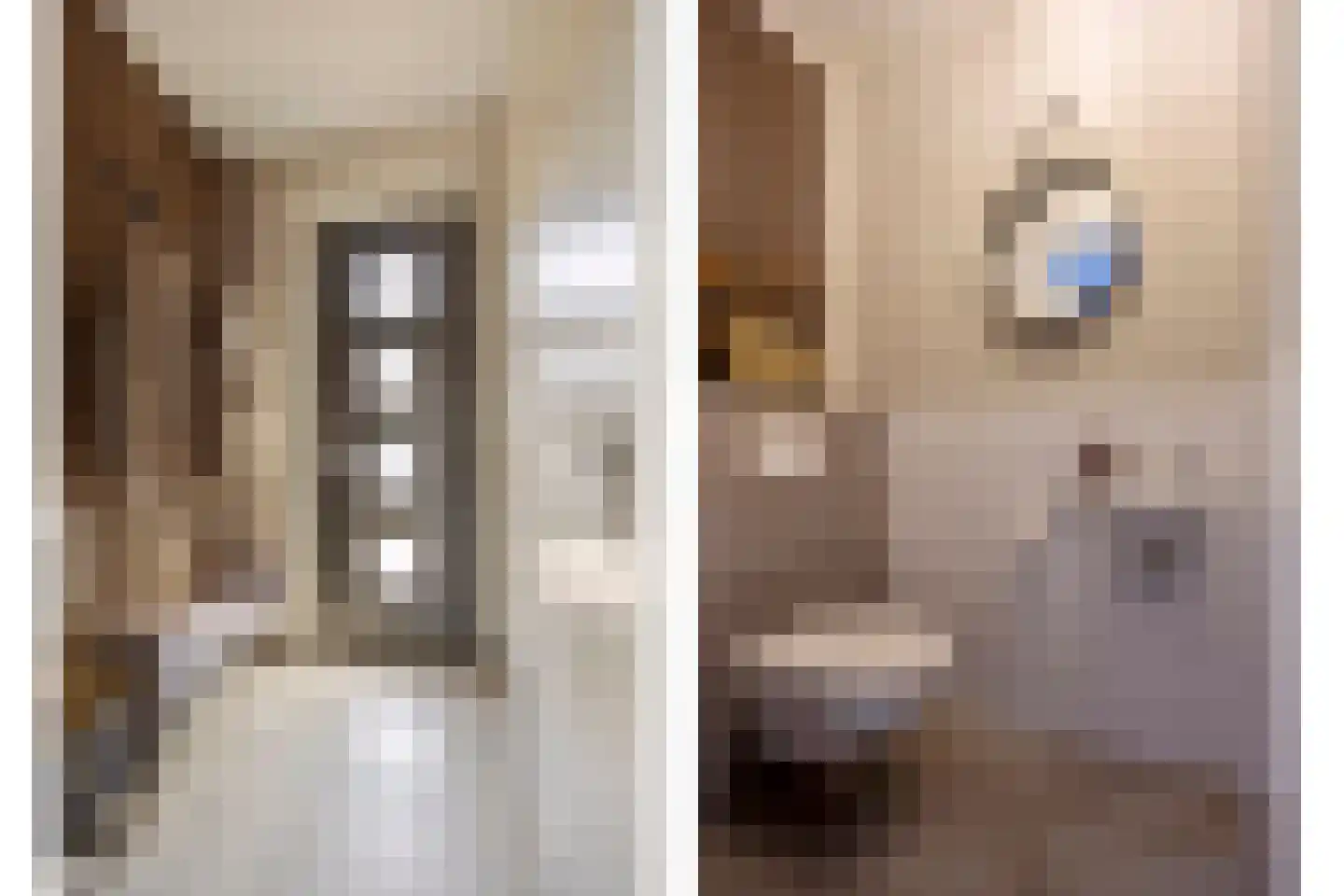 Meester Thijssenstraat 7 A Egchel thumbnail 7