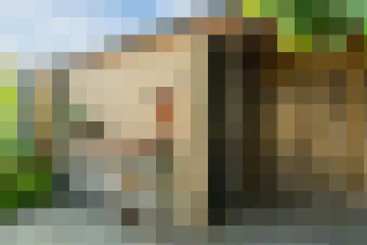 Meester van Boemellaan 10 's-Hertogenbosch thumbnail 41