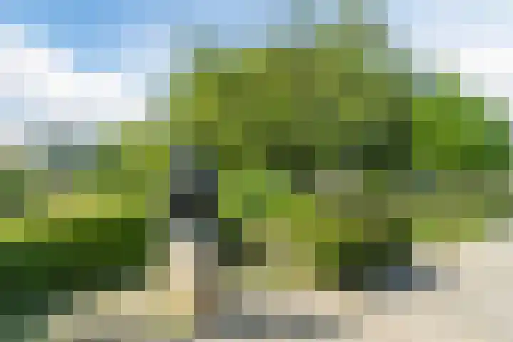 Meester van Boemellaan 10 's-Hertogenbosch thumbnail 45