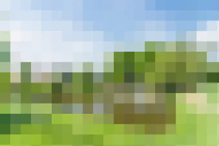 Meester van Boemellaan 10 's-Hertogenbosch thumbnail 47