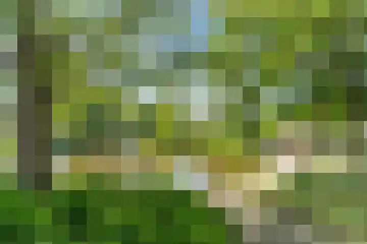 Meester van Boemellaan 10 's-Hertogenbosch thumbnail 48