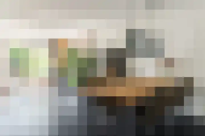 Meester van Boemellaan 10 's-Hertogenbosch thumbnail 5