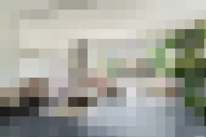 Meester van Boemellaan 10 's-Hertogenbosch thumbnail 6